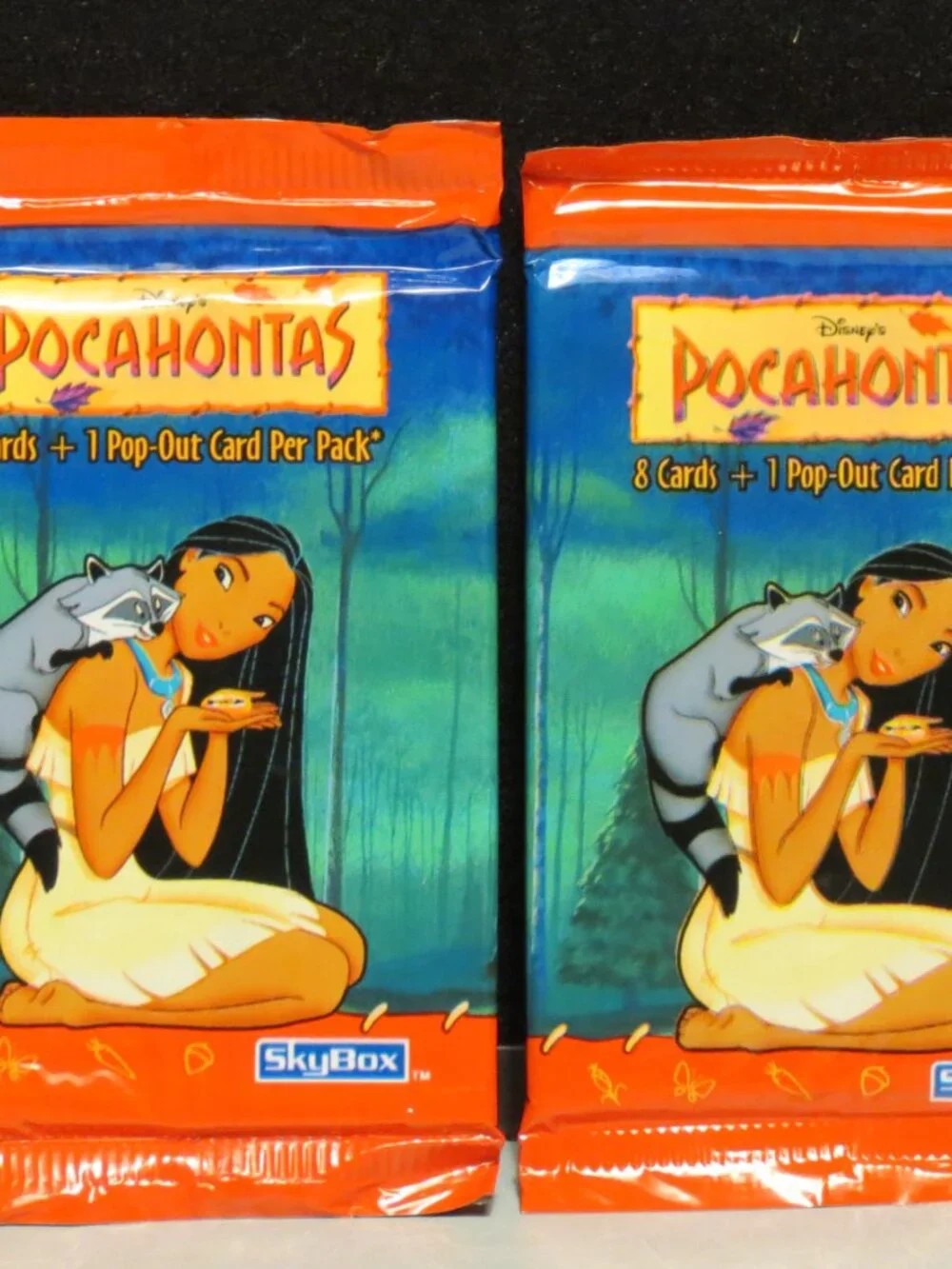 Skybox lot pocahontas
